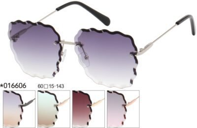 016606 (12 Pack)