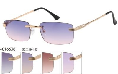 016638 (12 Pack)