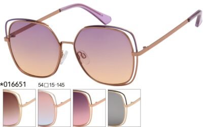 016651 (12 Pack)