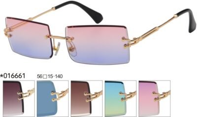 016661 (12 Pack)