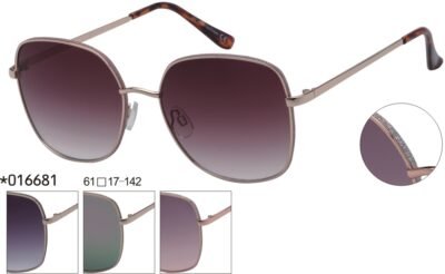 016681 (12 Pack)