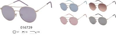 016729 (12 Pack)