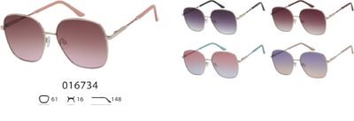 016734 (12 Pack)