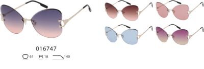016747 (12 Pack)