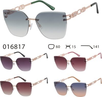 016817 (12 Pack)