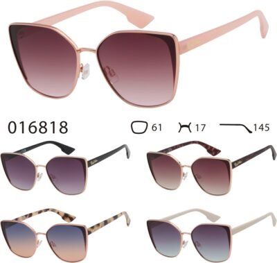 016818 (12 Pack)