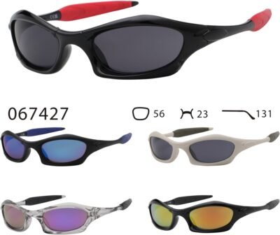 067427 (12 Pack)